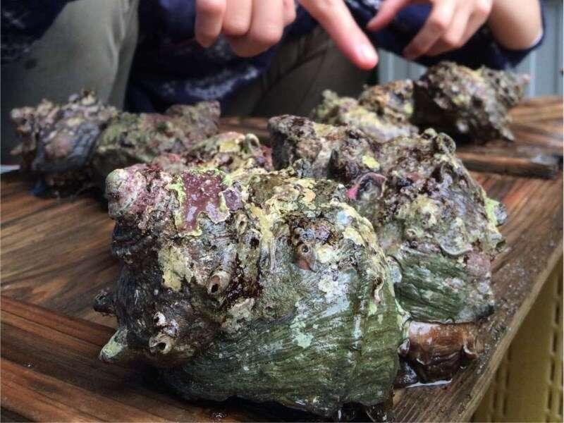Kaigetsu 호텔 토바 외부 사진
